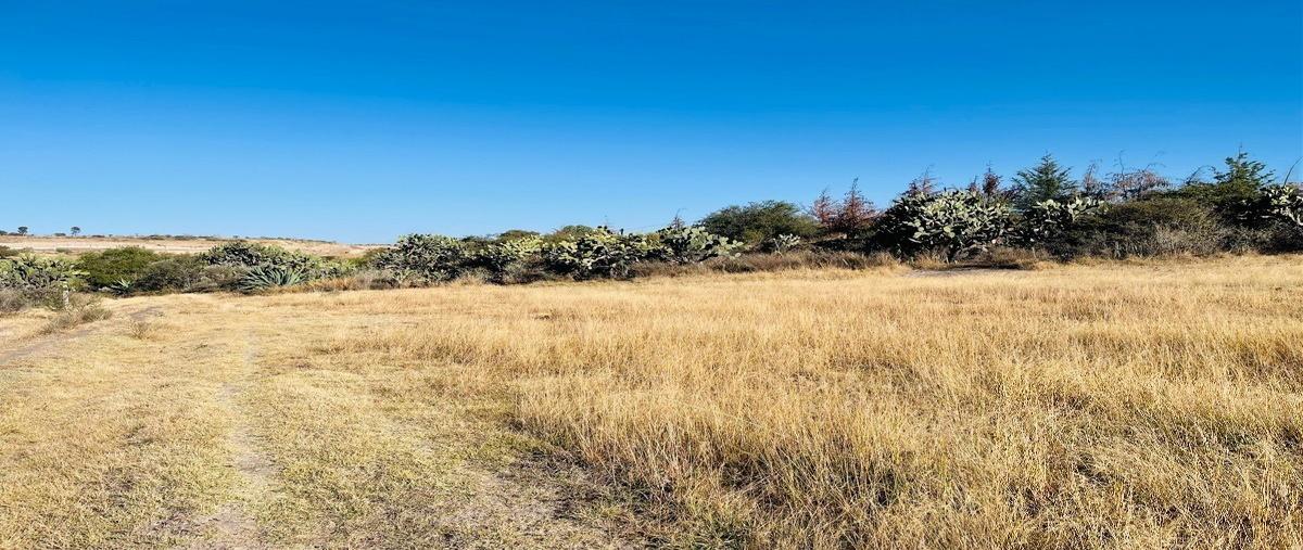 Foto de terreno habitacional en venta en  , corregidora, querétaro, querétaro, 27322976 No. 04