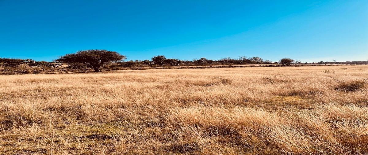 Foto de terreno habitacional en venta en  , corregidora, querétaro, querétaro, 27322976 No. 05