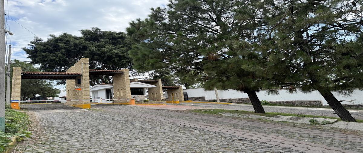 Foto de terreno habitacional en venta en  , cortijo de san agustin, tlajomulco de zúñiga, jalisco, 30151827 No. 03