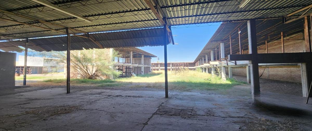 Foto de terreno habitacional en venta en  , cortinas 1ra. sección, cajeme, sonora, 0 No. 03