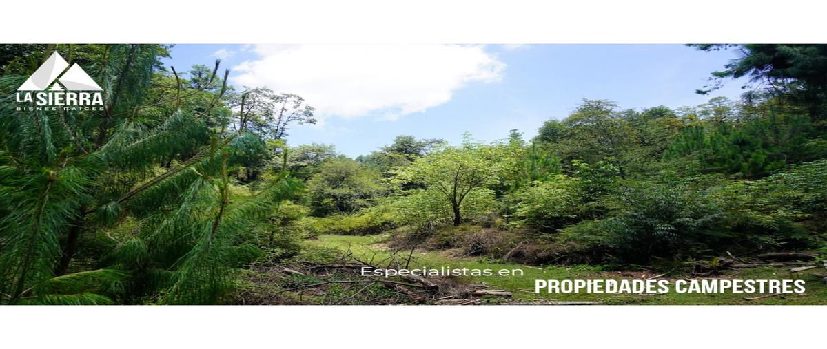 Foto de terreno habitacional en venta en  , cosamaloapan, chiconcuautla, puebla, 0 No. 03