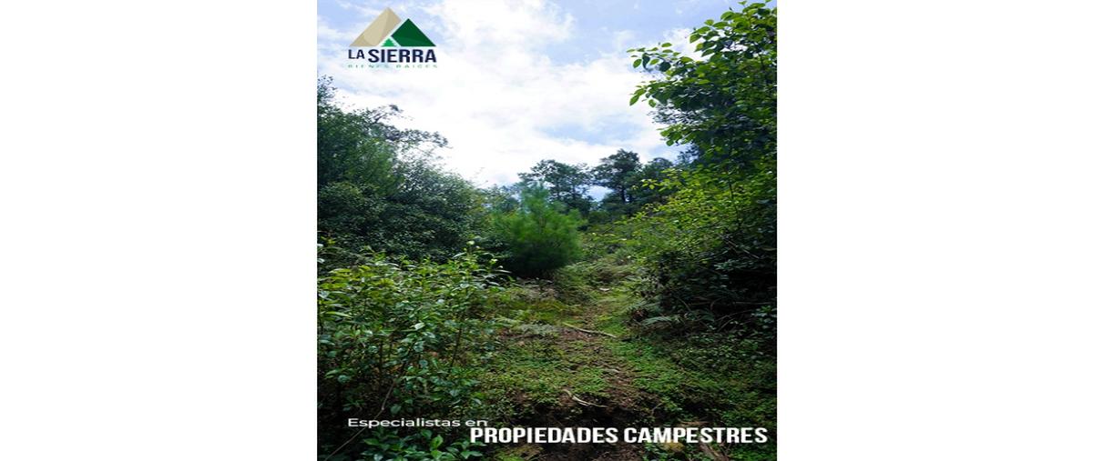 Foto de terreno habitacional en venta en  , cosamaloapan, chiconcuautla, puebla, 0 No. 05