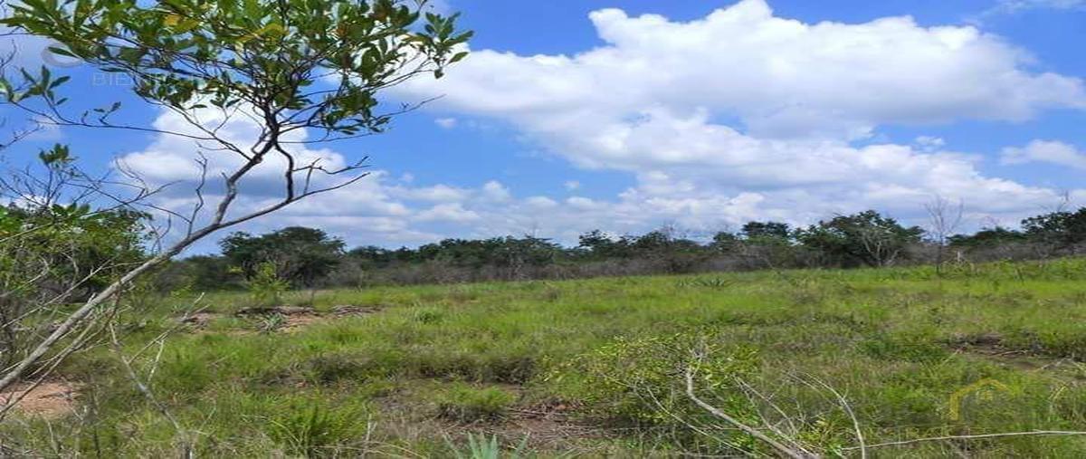 Foto de terreno habitacional en , cosautlán de carvajal, cosautlán de carvajal, veracruz de ignacio de la llave, 0 foto 01 Foto de terreno habitacional en venta en , cosautlán de carvajal, cosautlán de carvajal, veracruz de ignacio de la llave, 0 No. 01