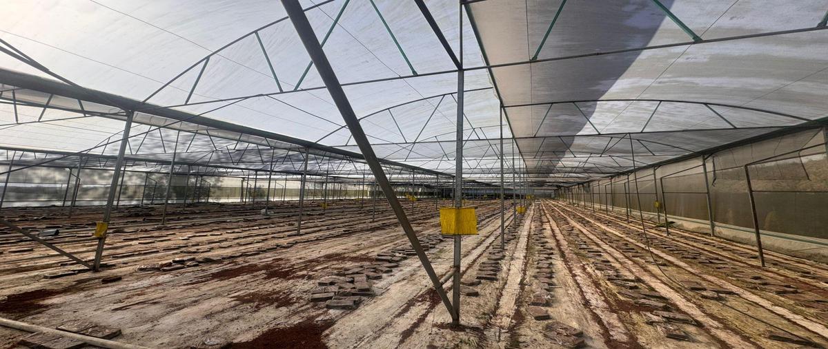 Foto de terreno habitacional en venta en  , coscomatepec de bravo, coscomatepec, veracruz de ignacio de la llave, 0 No. 03