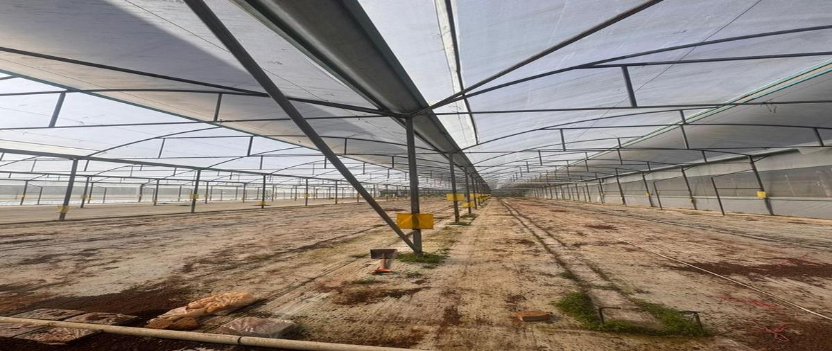 Foto de terreno habitacional en venta en  , coscomatepec de bravo, coscomatepec, veracruz de ignacio de la llave, 0 No. 04