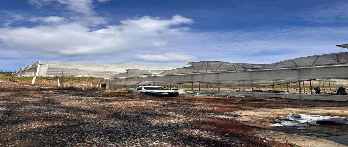 Foto de terreno habitacional en venta en  , coscomatepec de bravo, coscomatepec, veracruz de ignacio de la llave, 0 No. 05