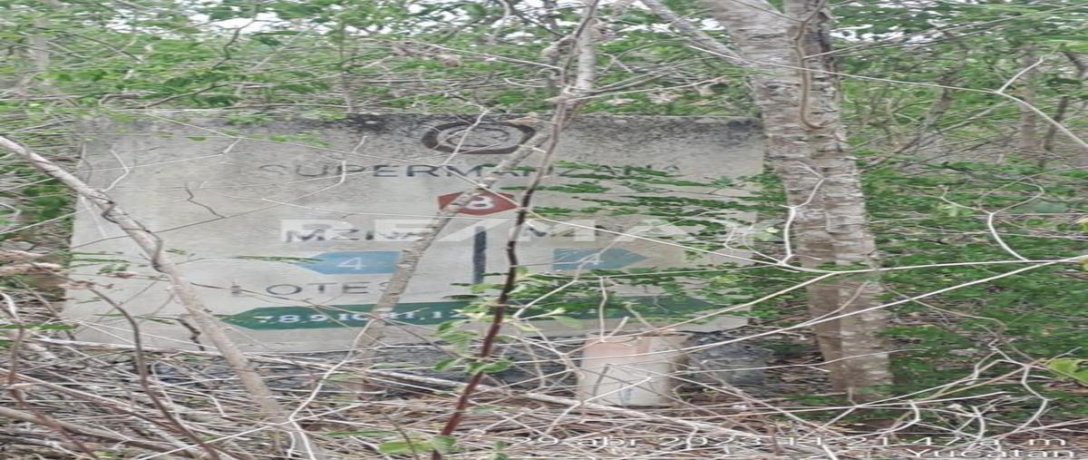 Foto de terreno habitacional en venta en cosgaya , cosgaya, mérida, yucatán, 0 No. 04