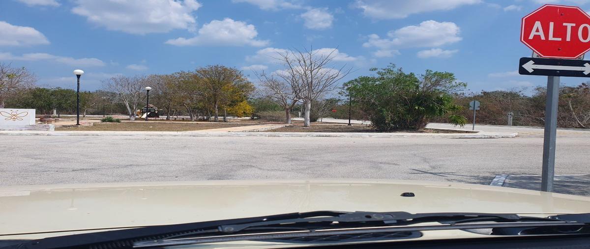 Foto de terreno habitacional en venta en  , cosgaya, mérida, yucatán, 26750393 No. 03
