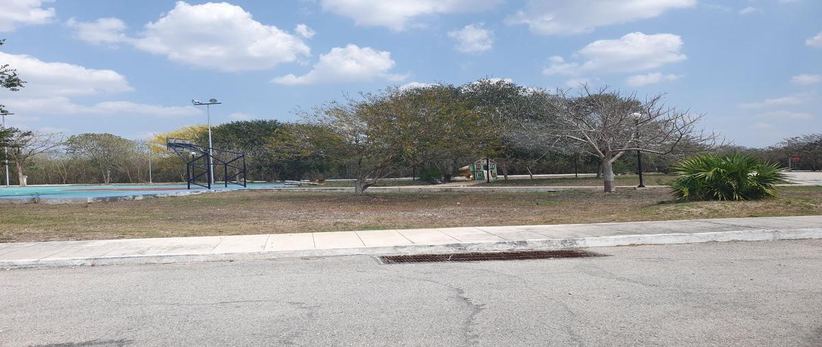 Foto de terreno habitacional en venta en  , cosgaya, mérida, yucatán, 26750393 No. 04