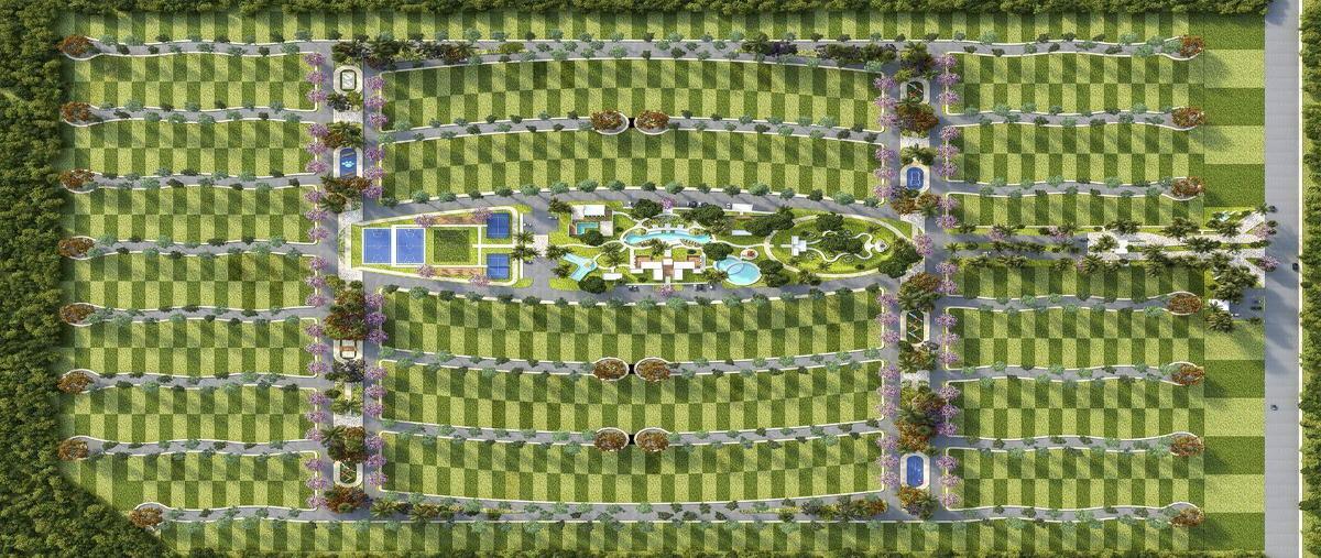 Foto de terreno habitacional en venta en  , cosgaya, mérida, yucatán, 28069686 No. 03