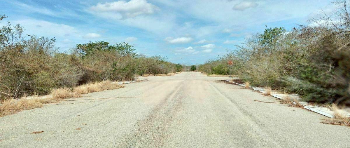 Foto de terreno habitacional en , cosgaya, mérida, yucatán, 0 foto 02 Foto de terreno habitacional en venta en , cosgaya, mérida, yucatán, 0 No. 02