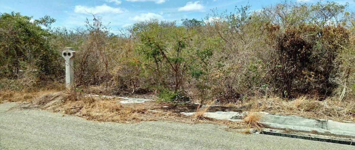 Foto de terreno habitacional en , cosgaya, mérida, yucatán, 0 foto 04 Foto de terreno habitacional en venta en , cosgaya, mérida, yucatán, 0 No. 04