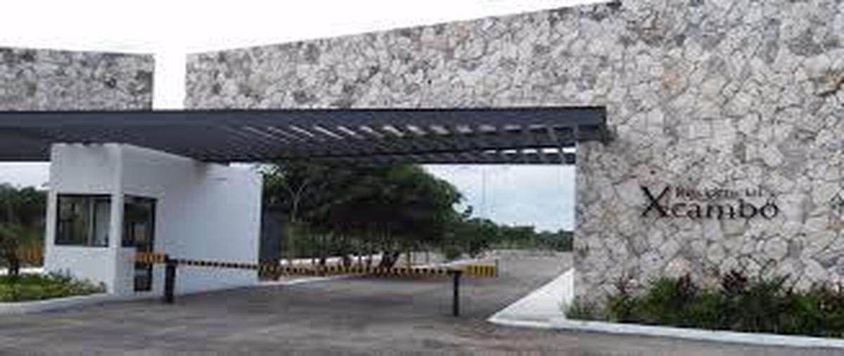 Foto de terreno habitacional en venta en  , cosgaya, mérida, yucatán, 0 No. 04