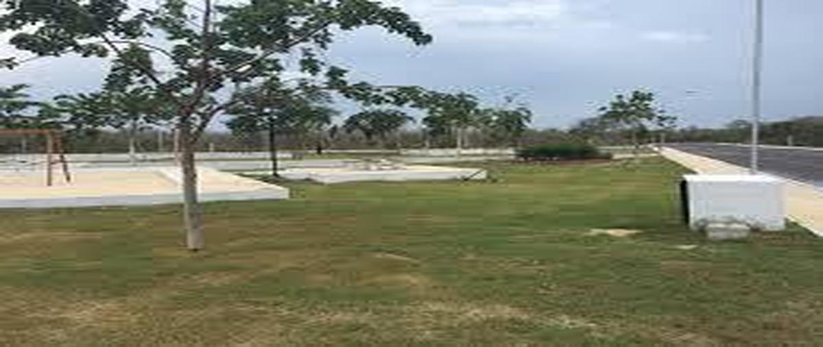 Foto de terreno habitacional en venta en  , cosgaya, mérida, yucatán, 0 No. 05