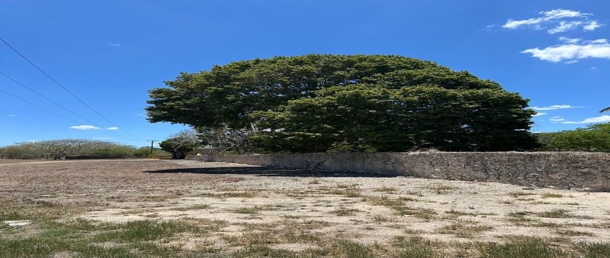 Foto de terreno habitacional en venta en  , cosgaya, mérida, yucatán, 29866765 No. 03