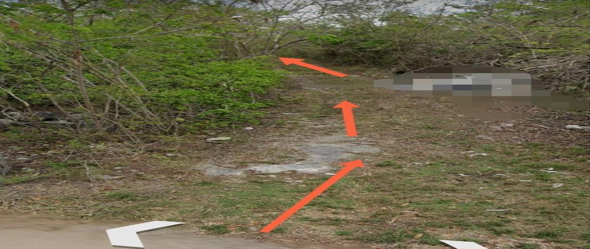 Foto de terreno habitacional en venta en  , cosgaya, mérida, yucatán, 29866765 No. 05