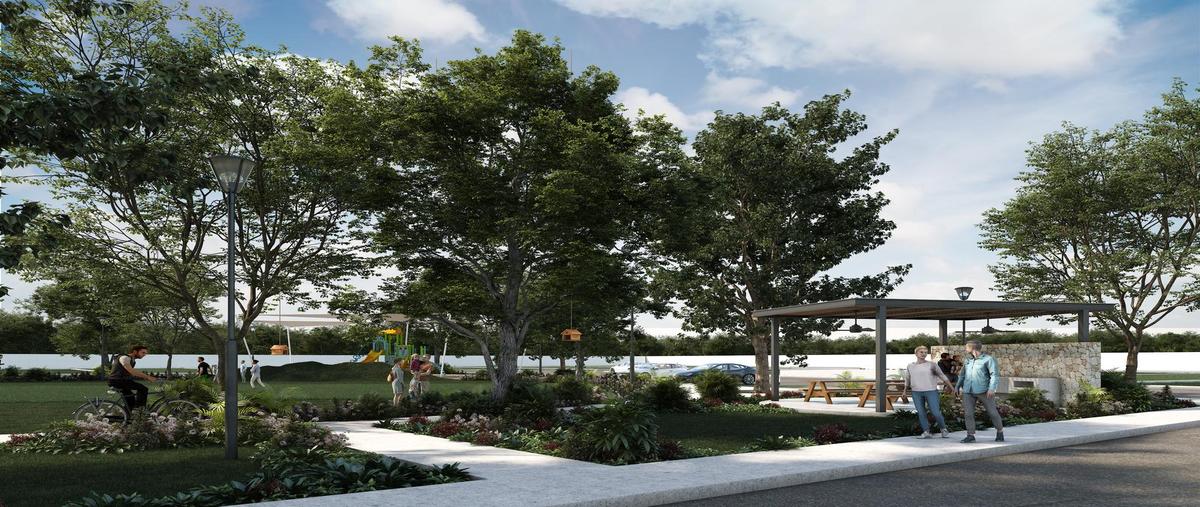 Foto de terreno habitacional en venta en  , cosgaya, mérida, yucatán, 0 No. 04