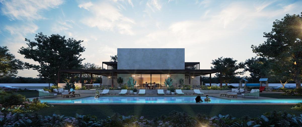 Foto de terreno habitacional en venta en  , cosgaya, mérida, yucatán, 0 No. 05