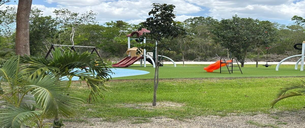 Foto de terreno habitacional en venta en  , cosgaya, mérida, yucatán, 0 No. 05
