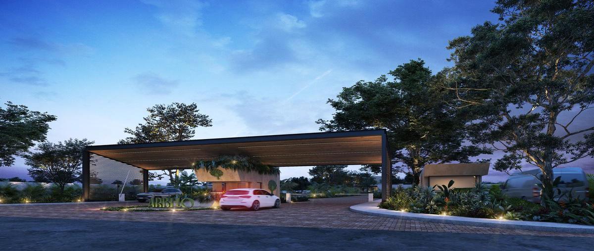 Foto de terreno habitacional en venta en  , cosgaya, mérida, yucatán, 30609654 No. 03