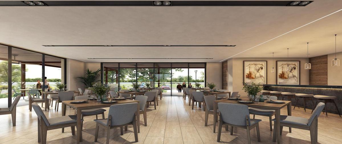 Foto de terreno habitacional en venta en  , cosgaya, mérida, yucatán, 30609654 No. 04