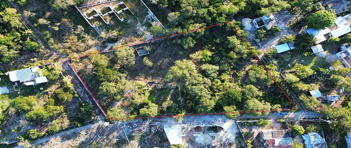 Foto de terreno habitacional en venta en  , cosgaya, mérida, yucatán, 0 No. 03