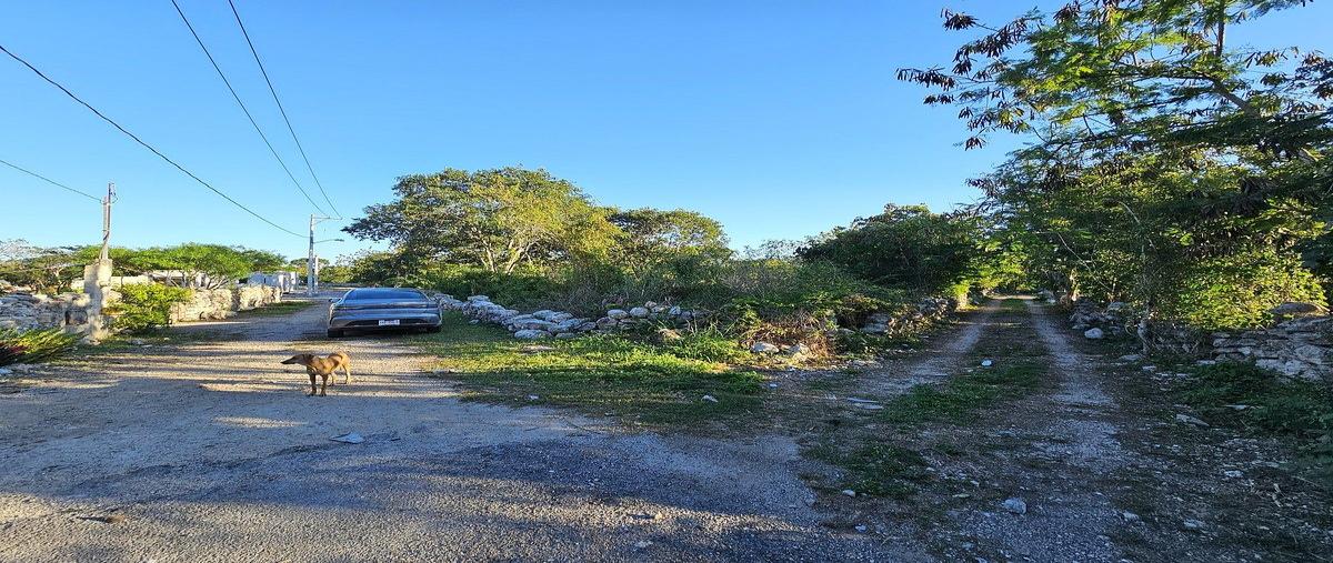 Foto de terreno habitacional en venta en  , cosgaya, mérida, yucatán, 0 No. 04