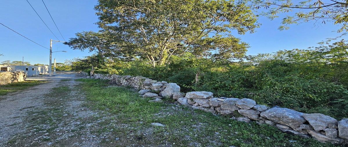 Foto de terreno habitacional en venta en  , cosgaya, mérida, yucatán, 0 No. 05