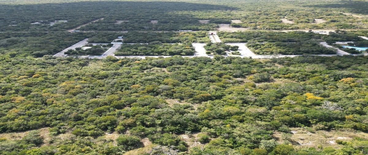 Foto de terreno habitacional en venta en  , cosgaya, mérida, yucatán, 0 No. 03