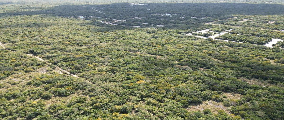 Foto de terreno habitacional en venta en  , cosgaya, mérida, yucatán, 0 No. 05