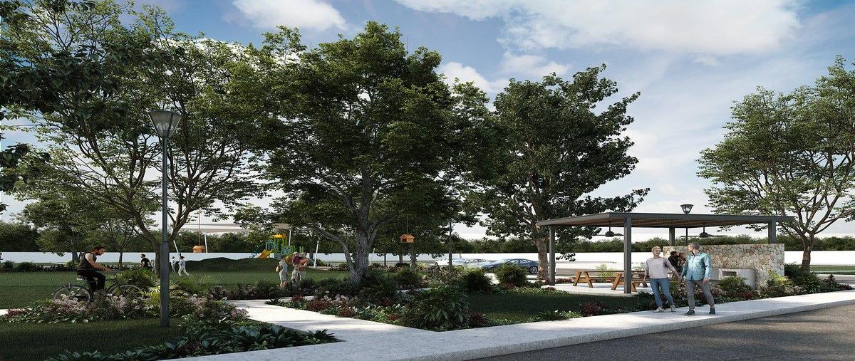 Foto de terreno habitacional en venta en . , cosgaya, mérida, yucatán, 0 No. 03