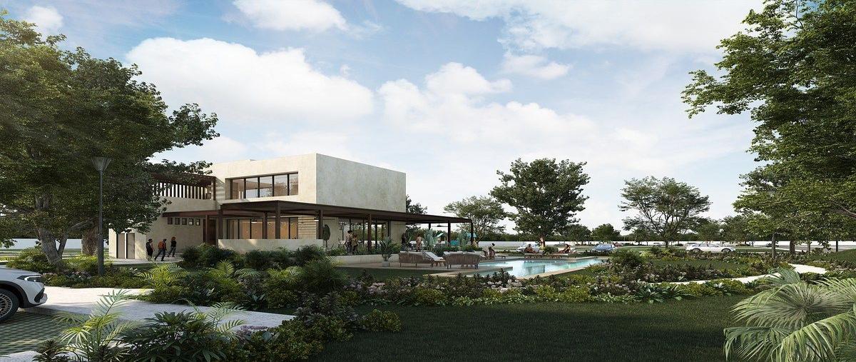 Foto de terreno habitacional en venta en . , cosgaya, mérida, yucatán, 0 No. 05