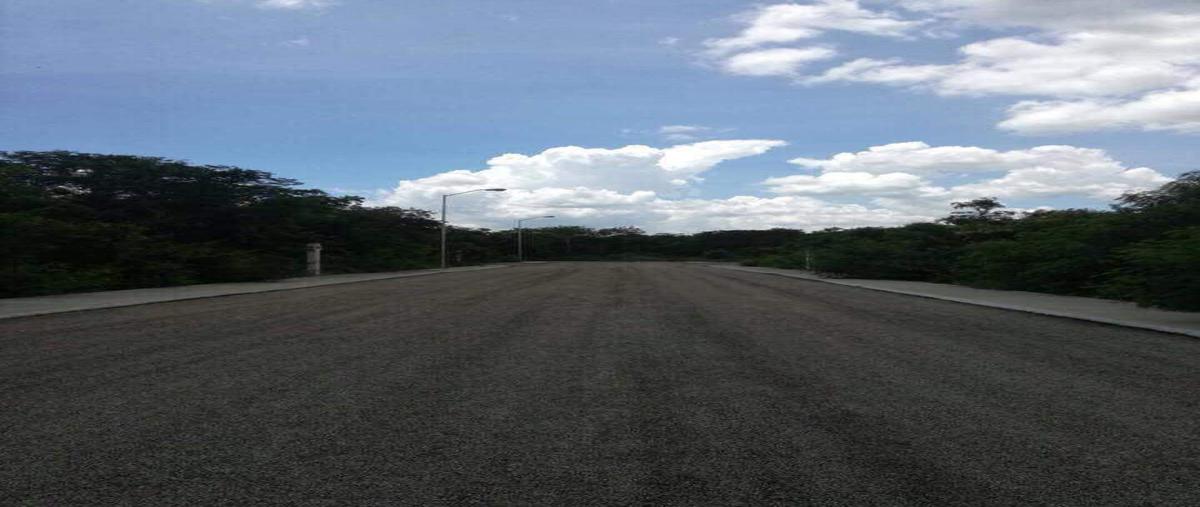 Foto de terreno habitacional en venta en cosgaya whi9701, cosgaya, mérida, yucatán, 15477105 No. 04
