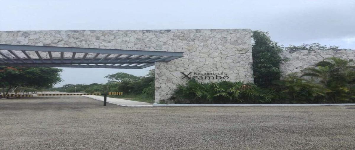 Foto de terreno habitacional en venta en cosgaya whi9701, cosgaya, mérida, yucatán, 15477105 No. 05