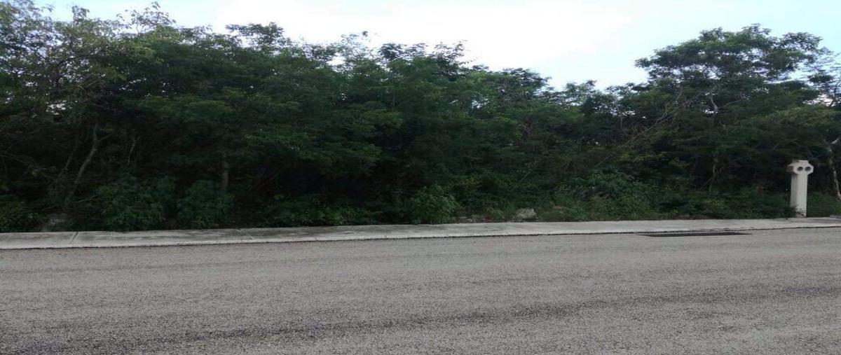 Foto de terreno habitacional en venta en cosgaya whi9704, cosgaya, mérida, yucatán, 15477089 No. 04