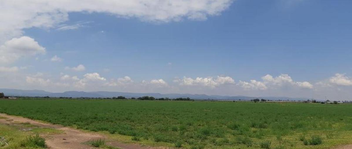 Foto de casa en venta en  , cosío centro, cosío, aguascalientes, 11233316 No. 05