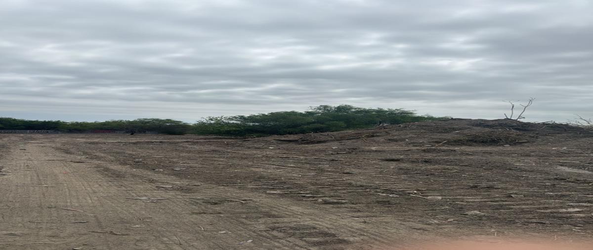 Foto de terreno industrial en renta en  , cosmópolis, apodaca, nuevo león, 29096475 No. 03