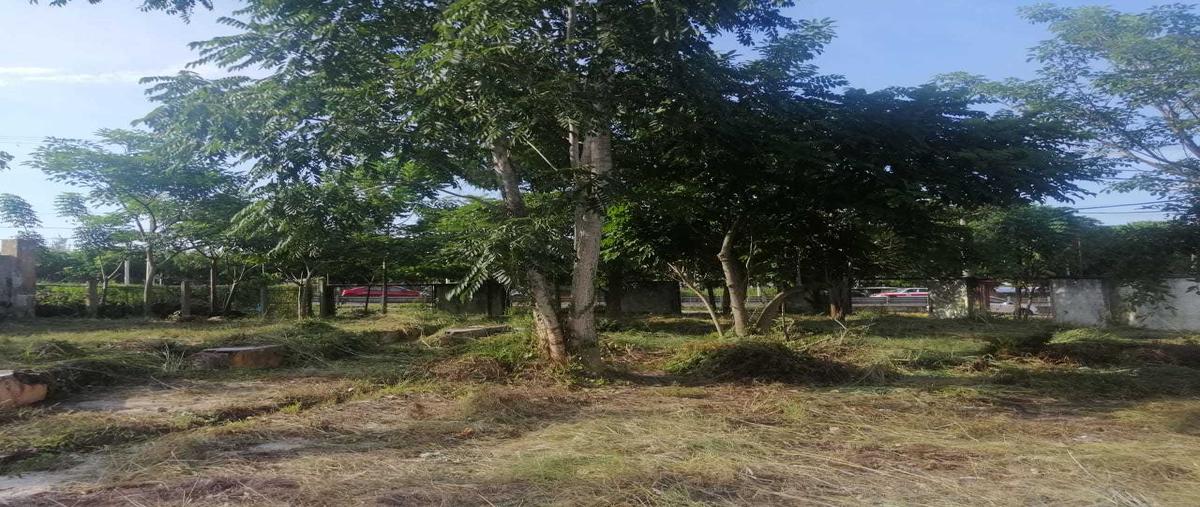 Foto de terreno habitacional en , cosoleacaque centro, cosoleacaque, veracruz de ignacio de la llave, 16272285 foto 03 Foto de terreno habitacional en renta en , cosoleacaque centro, cosoleacaque, veracruz de ignacio de la llave, 16272285 No. 03
