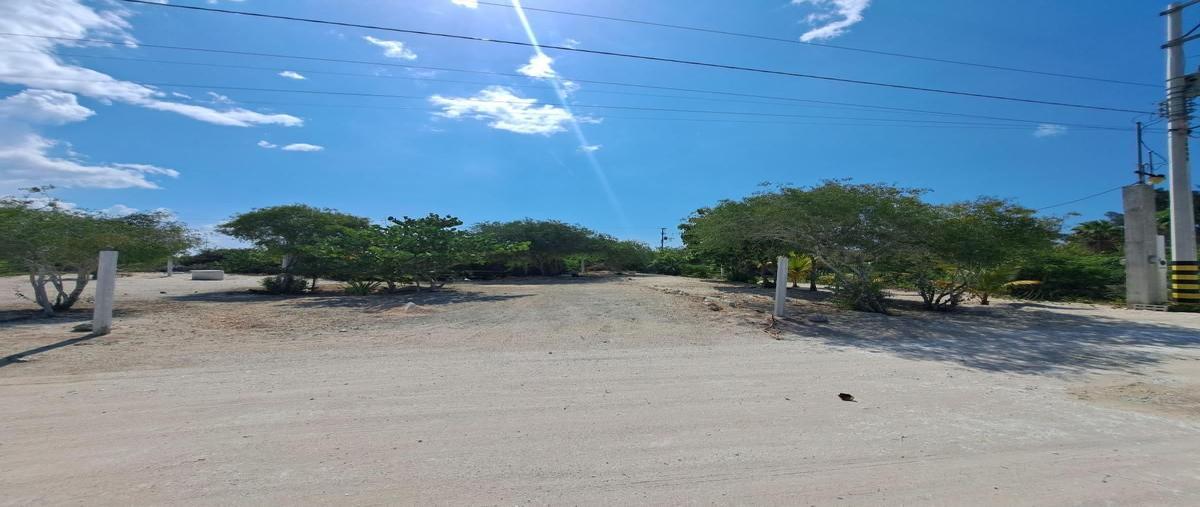Foto de terreno habitacional en costa dorada , chicxulub puerto, progreso, yucatán, 26989790 foto 02 Foto de terreno habitacional en venta en costa dorada , chicxulub puerto, progreso, yucatán, 26989790 No. 02