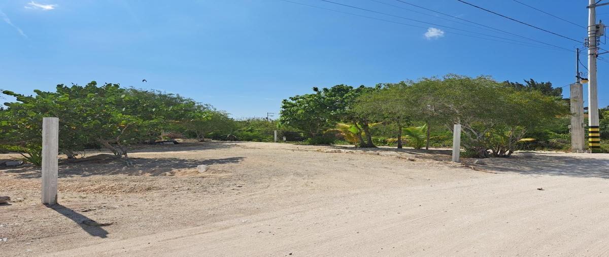 Foto de terreno habitacional en costa dorada , chicxulub puerto, progreso, yucatán, 26989790 foto 03 Foto de terreno habitacional en venta en costa dorada , chicxulub puerto, progreso, yucatán, 26989790 No. 03