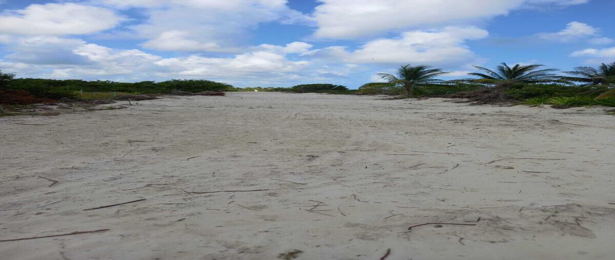 Foto de terreno habitacional en venta en costa esmeralda , santa clara, dzidzantún, yucatán, 0 No. 04