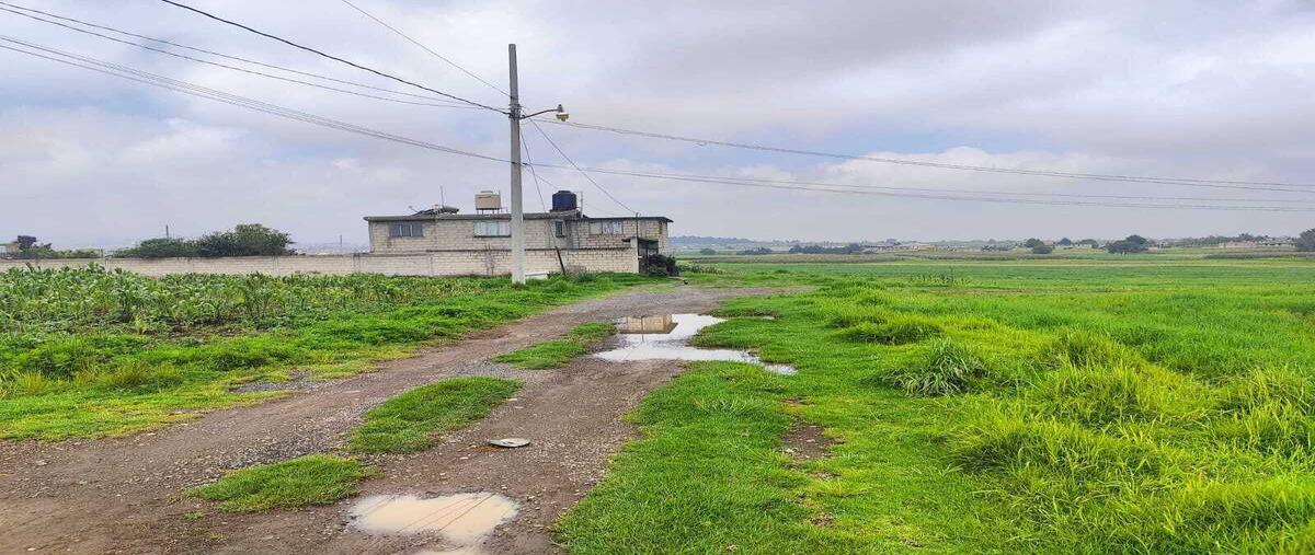 Foto de terreno habitacional en venta en costa rica , san miguel zinacantepec, zinacantepec, méxico, 0 No. 04