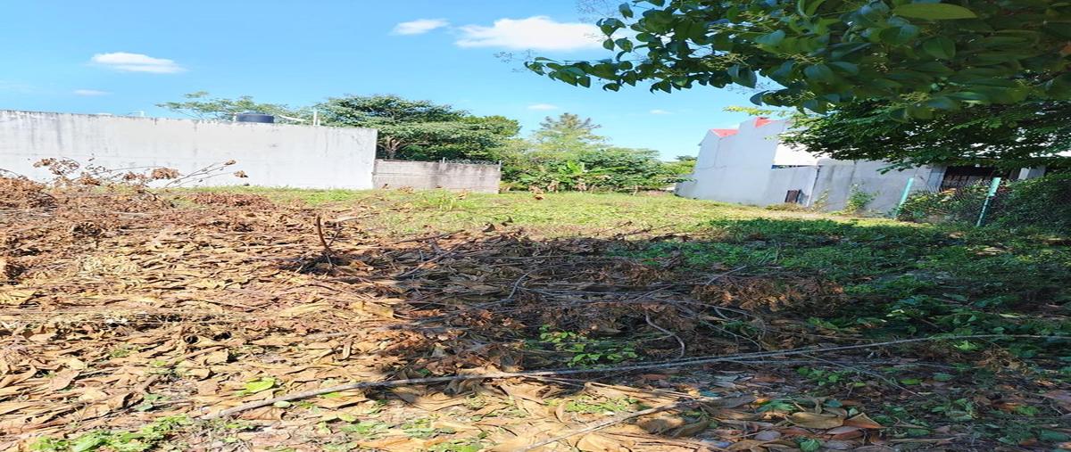 Foto de terreno habitacional en venta en  , costa verde, san juan bautista tuxtepec, oaxaca, 0 No. 05