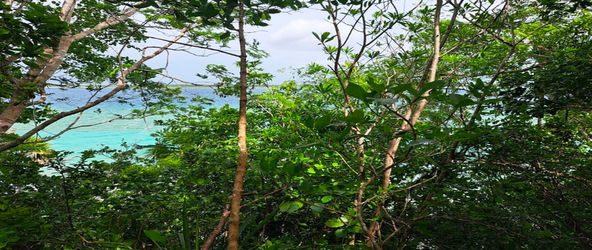 Foto de terreno habitacional en venta en costera buenavista , buenavista, bacalar, quintana roo, 27778218 No. 04