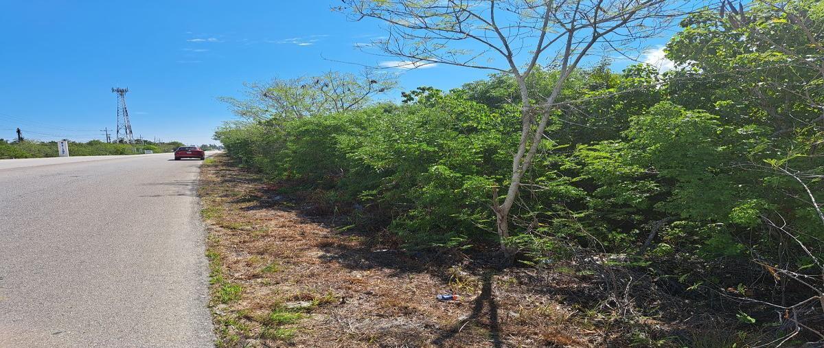 Foto de terreno habitacional en venta en costera , chicxulub puerto, progreso, yucatán, 27133917 No. 04