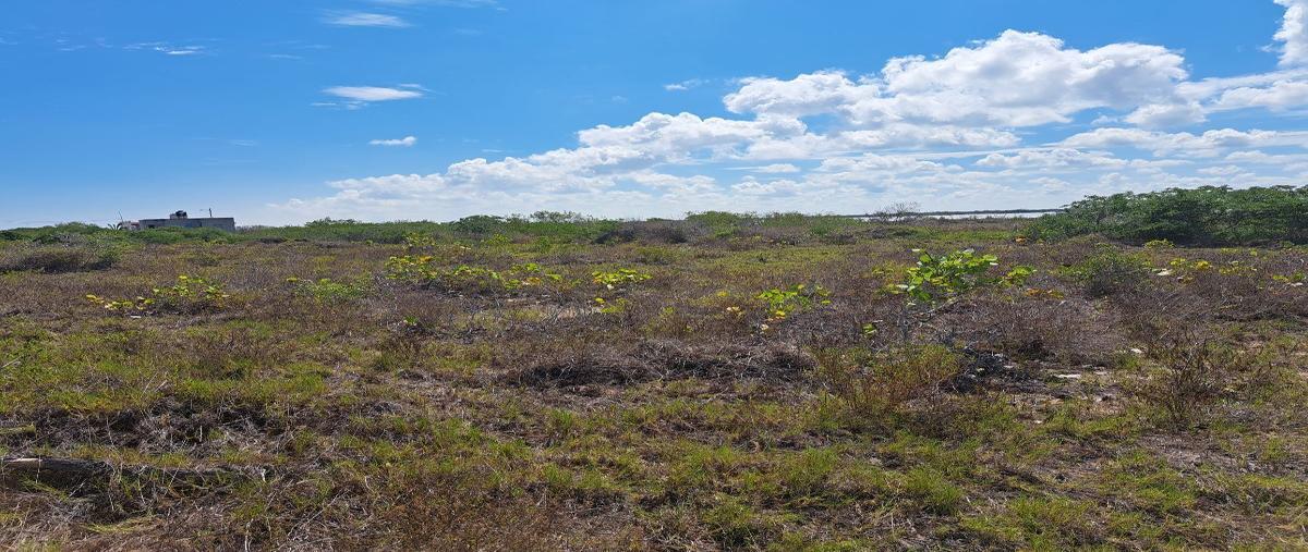 Foto de terreno habitacional en venta en costera , chicxulub puerto, progreso, yucatán, 27133917 No. 05