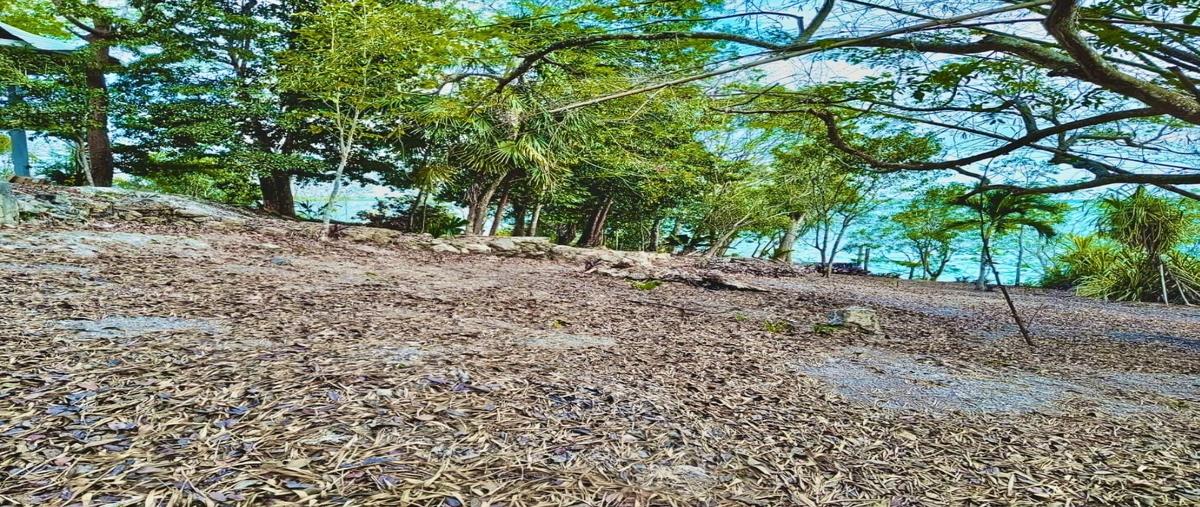 Foto de terreno habitacional en venta en costera de aarón merino fernández. , las brisas, bacalar, quintana roo, 26769991 No. 03