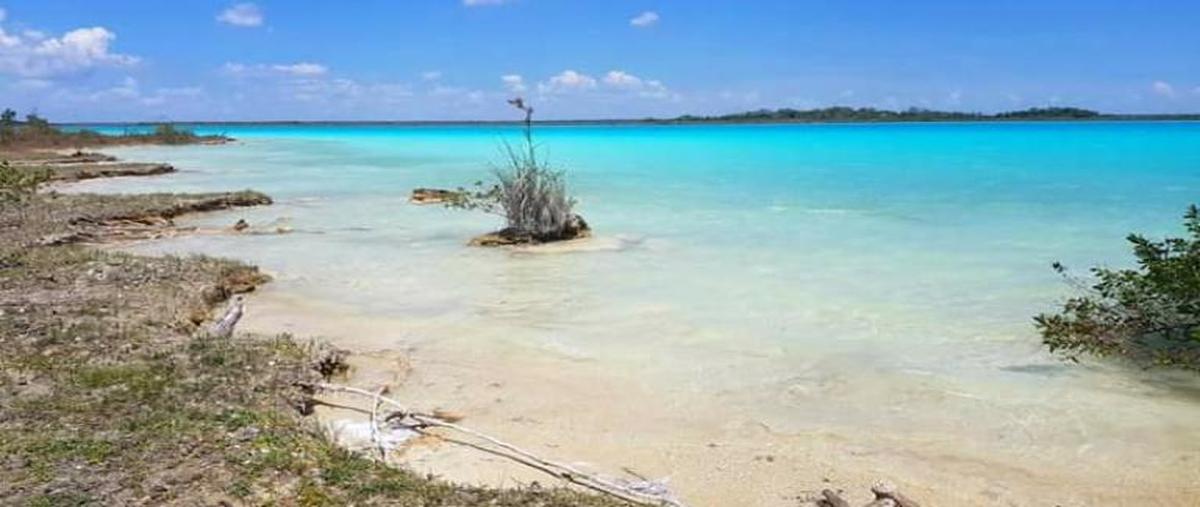 Foto de terreno habitacional en costera de bacalar 1, el danto, bacalar, quintana roo, 8874562 foto 01 Foto de terreno habitacional en venta en costera de bacalar 1, el danto, bacalar, quintana roo, 8874562 No. 01