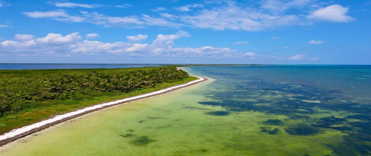 Foto de terreno habitacional en venta en costera mahahual , mahahual, othón p. blanco, quintana roo, 28016789 No. 04