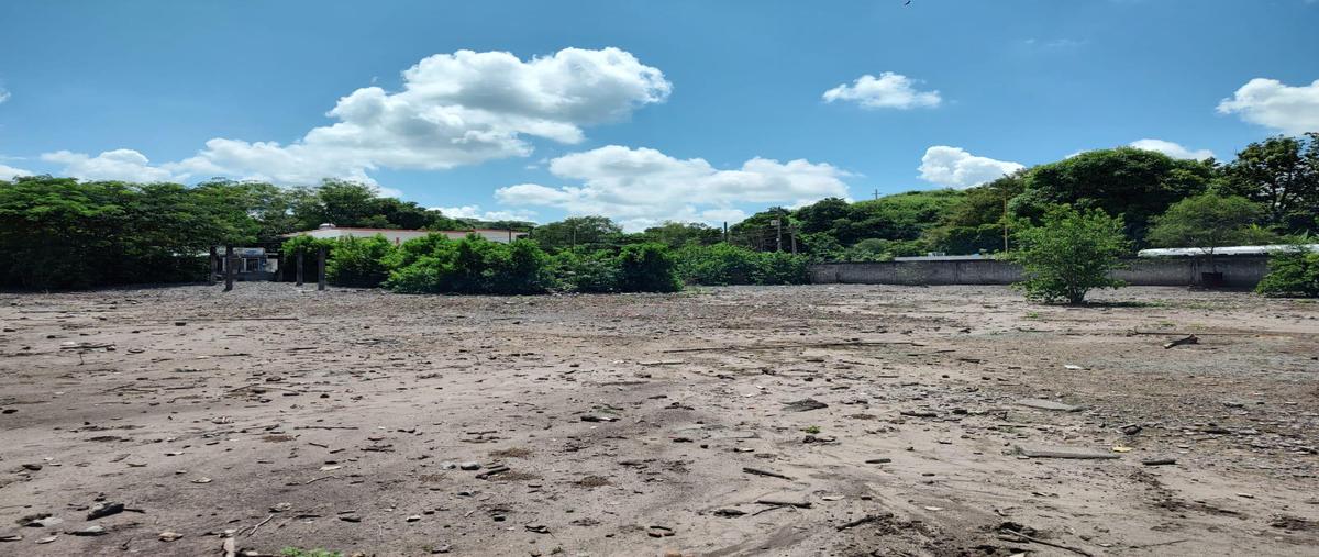 Foto de terreno habitacional en renta en  , cotaxtla, cotaxtla, veracruz de ignacio de la llave, 0 No. 05